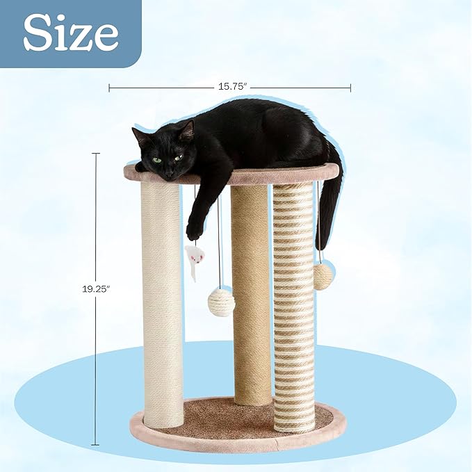 Cat Scratching Post - Image 7