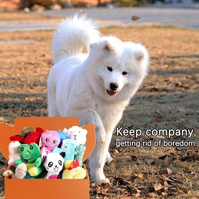 LEGEND SANDY Squeaky Plush Dog Toy Pack - Image 6