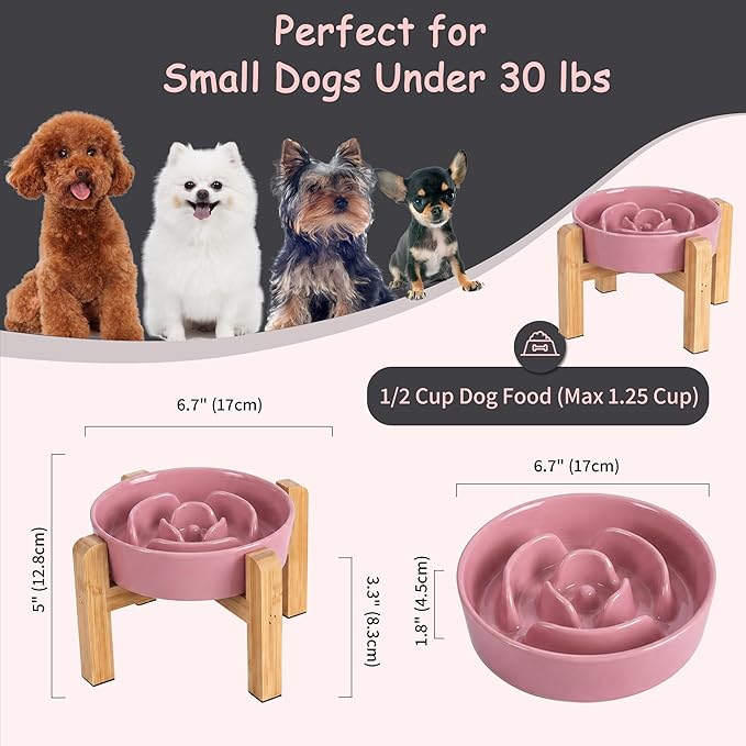 Elevated Slow Feeder Dog Bowl - Image 2