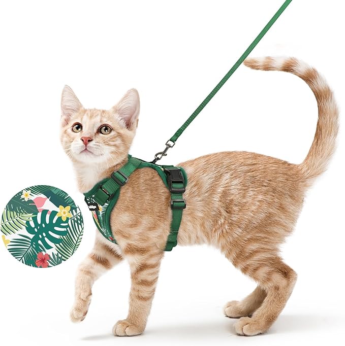 rabbitgoo Cat Harness and Leash Set, Escape Proof Vest Harness by rabbitgoo