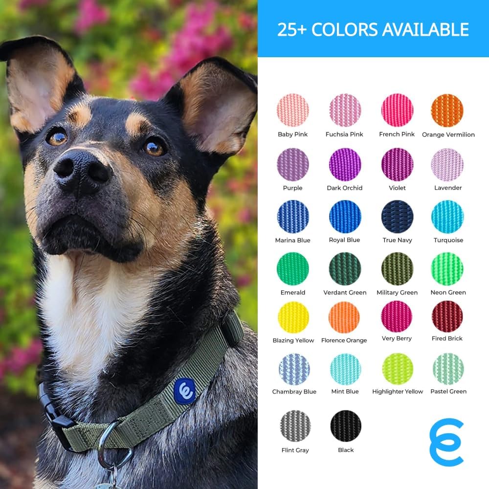 Blueberry Pet Essentials X-Small Dog Collar in Mint Blue | Adjustable & Eco-Friendly Durable Nylon Strap | Classic Collar for X-Small Dogs, Boy & Girl Pets