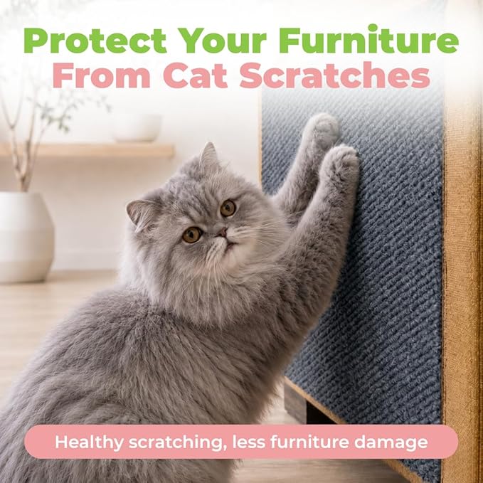 Best Pet Supplies Catify Cat Scratcher, Fun Interactive Scratchers, Claw Safe - Image 2
