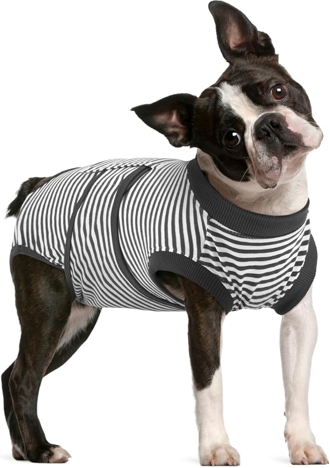 FUAMEY Dog Recovery Suit Male, Dogs Surgery Neuter Suits Puppy Spay Shirts by FUAMEY