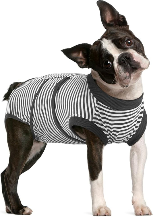 FUAMEY Dog Recovery Suit Male, Dogs Surgery Neuter Suits Puppy Spay Shirts by FUAMEY