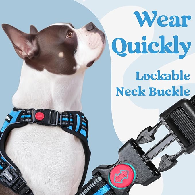 rabbitgoo Dog Harness for Large, No Pull Easy On & Off - Image 3