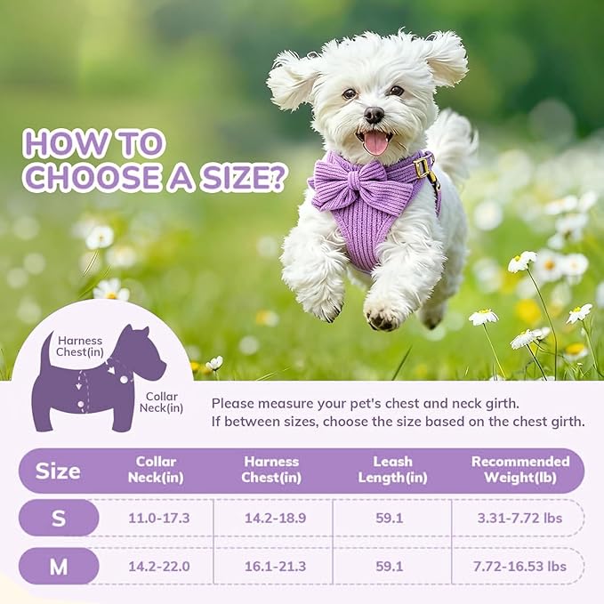 Small Dog Collar Harness and Leash Set - Image 2