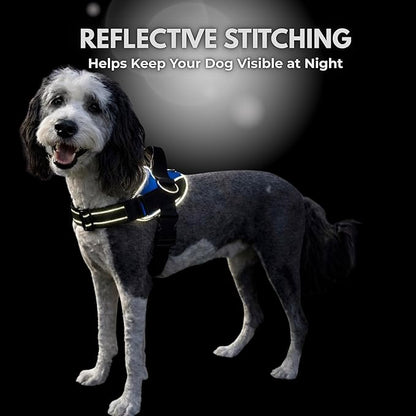 ShawnCo Essential Dog Harness, No-Pull Pet Vest - Image 8