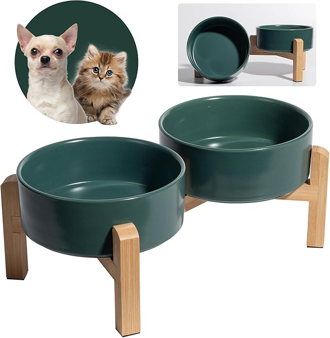 Elevated Ceramic Dog Bowl Set by PTOBER