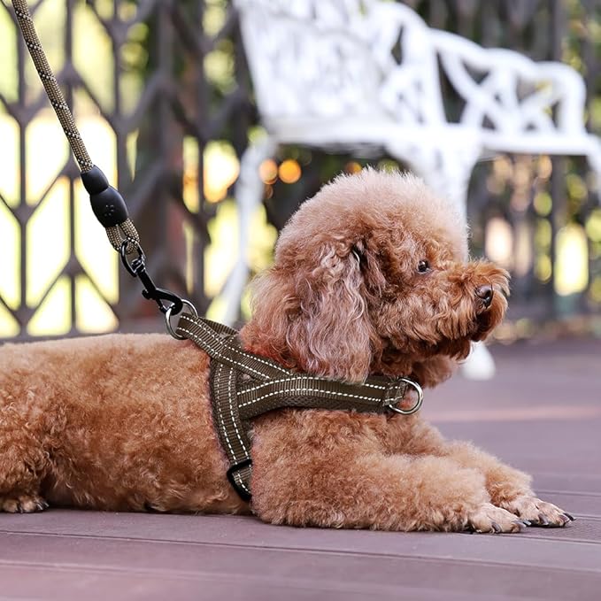Plutus Pet No Pull Dog Harness - Image 6