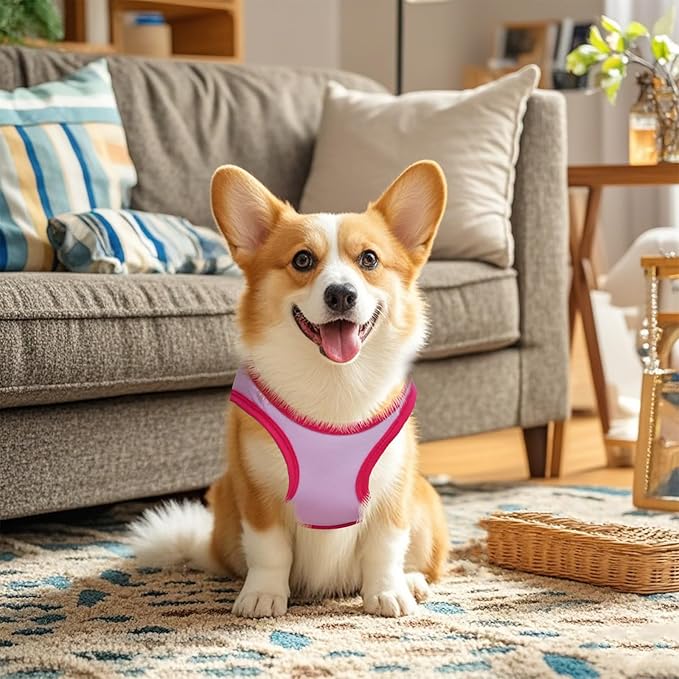 Pistha 4 Pack Dog Shirts Summer Printed Puppy Clothes Cute Sleeveless Pet T - Image 5