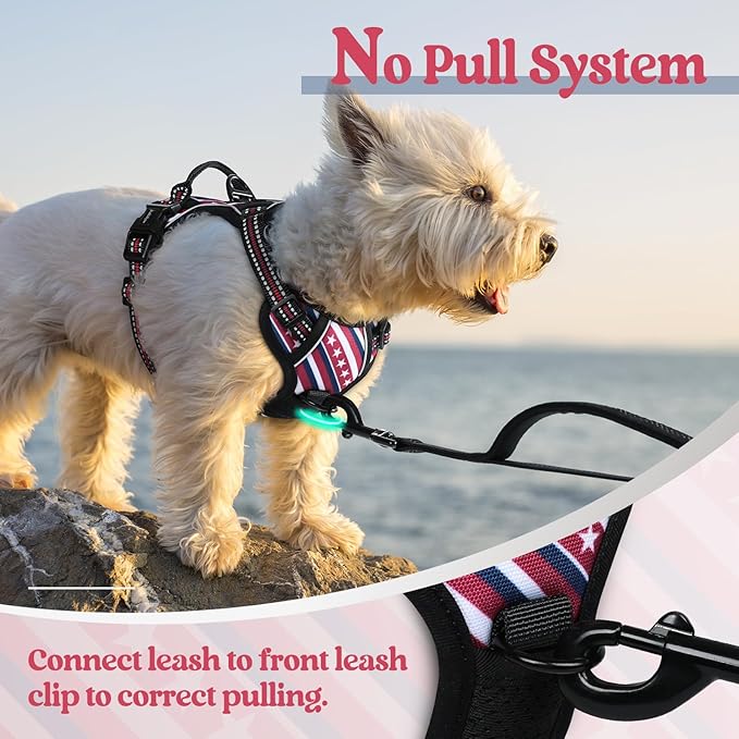 rabbitgoo Dog Harness No Pull - Image 5