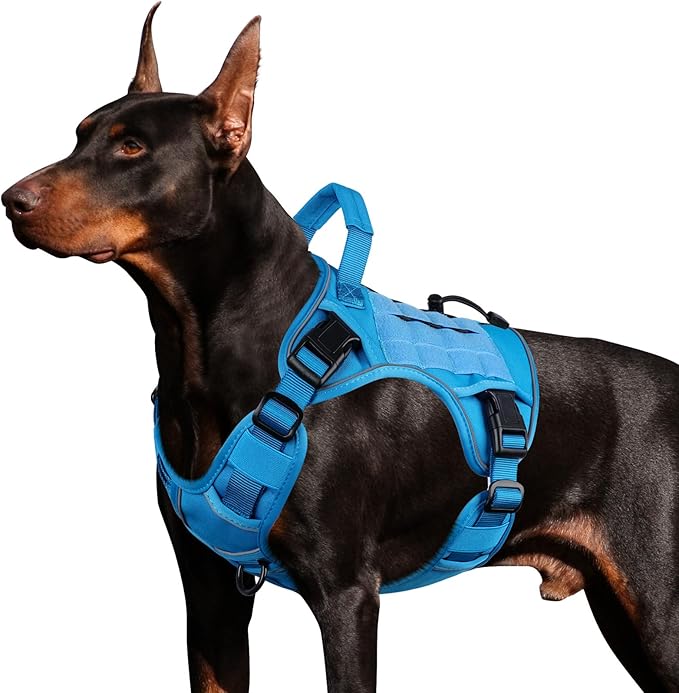 WINGOIN Blue Tactical Dog Harness by WINGOIN