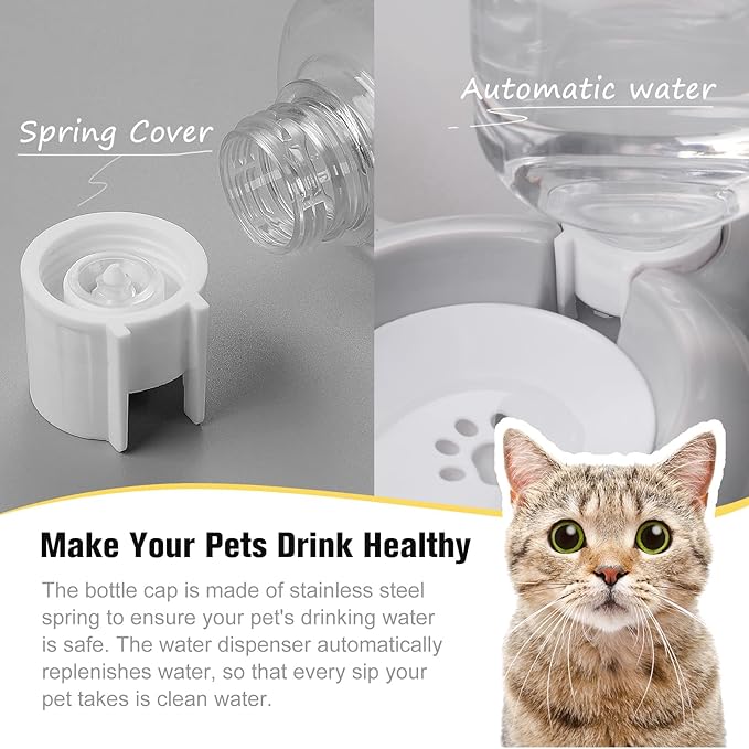 Double Dog Cat Bowls, Cat Food and Water Bowl Set - Image 4