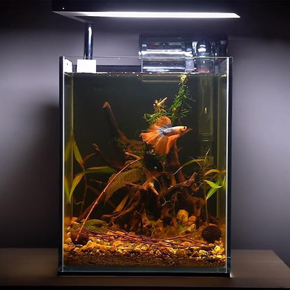 majoywoo Natural Driftwood for Aquarium Decor Fish Tank Decorations, Reptile - Image 5