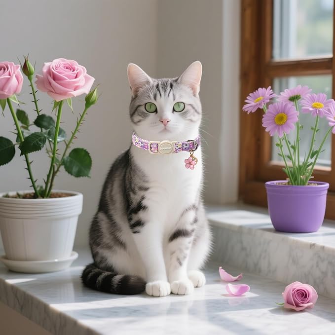Cat Collar, 2 Pack Cute Cat Collars Breakaway - Image 6
