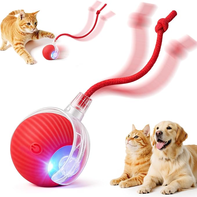 Smart Interactive Automatic Electric Rolling Moving Rechargeable Motion by Unknown