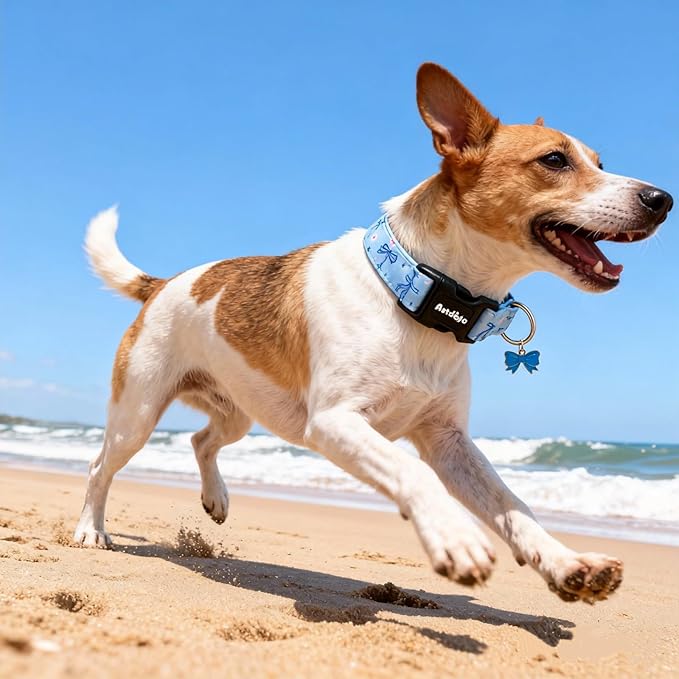 Medium Dog Collar, Girl Boy Dog Collars - Image 7