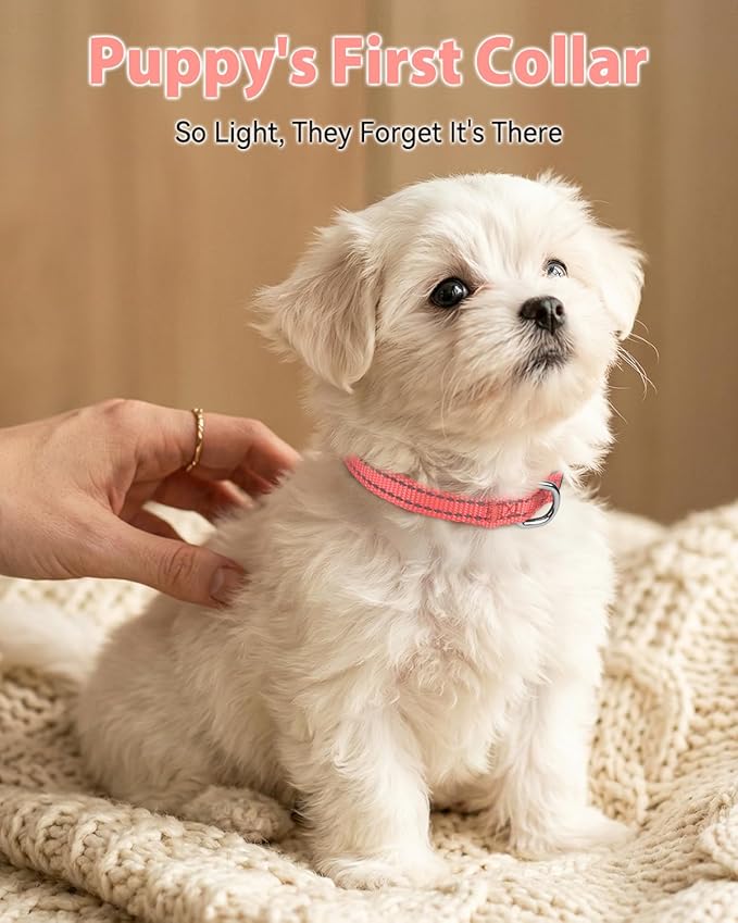 Joytale Puppy Collar, Feather-Light Double-Sided Reflective Nylon Collar - Image 2