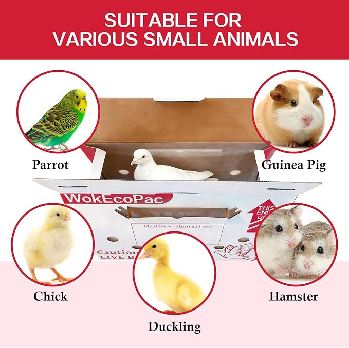 6 Pack Poultry Shipping Boxes, Live Bird Shipping Boxes, Poultry Carrier Crate - Image 6