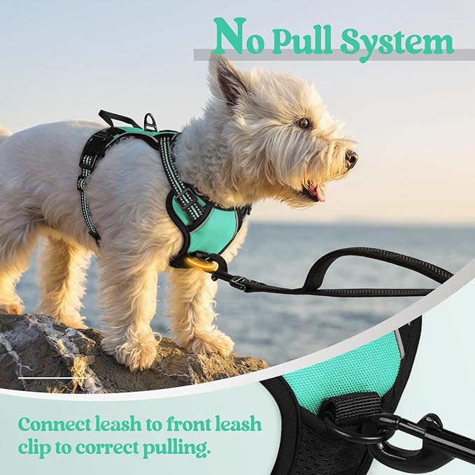 rabbitgoo Dog Harness No Pull - Image 5