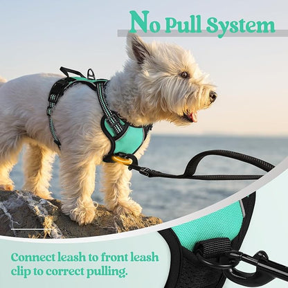 rabbitgoo Dog Harness No Pull - Image 5
