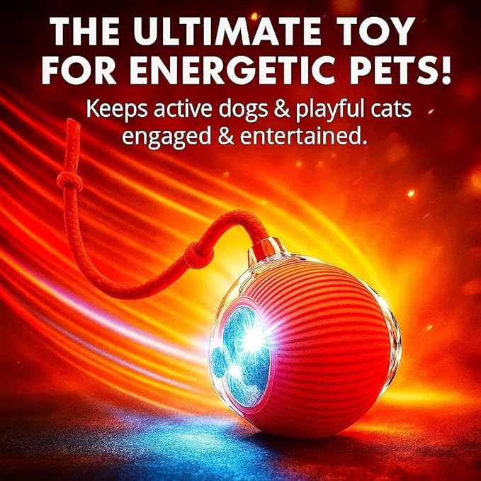 2026 New 2Pack Cat Ball Kitten Toys - Image 8