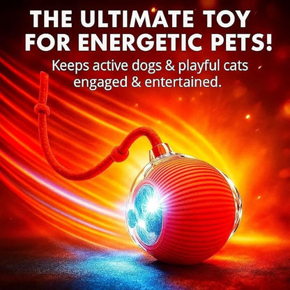 2026 New 2Pack Cat Ball Kitten Toys - Image 8