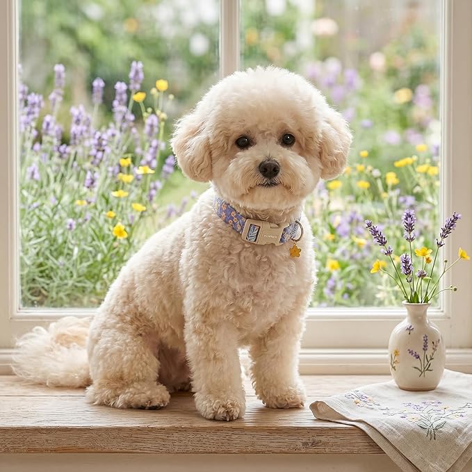 Floral Dog Collar, Cute Girl Boy Dog Collar Ideal Daily Use - Image 8