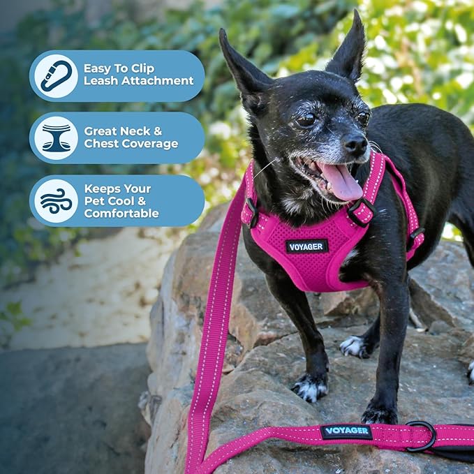 Best Pet Supplies Voyager Mesh Dog Breathable Harness Reflective Stitching - Image 5
