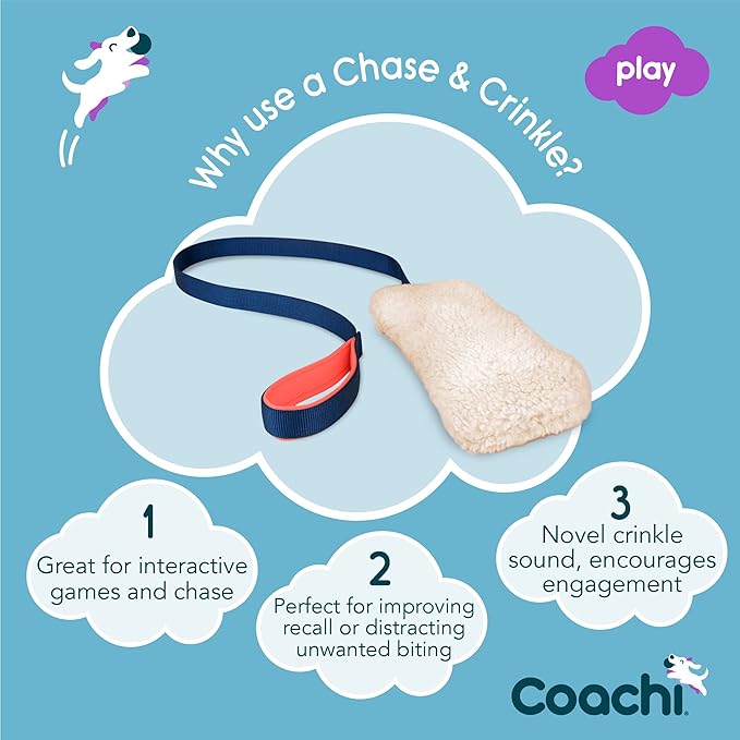 Coachi Chase & Crinkle - Image 2