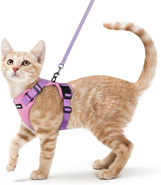 rabbitgoo Cat Harness and Leash Set, Escape Proof Vest Harness by rabbitgoo