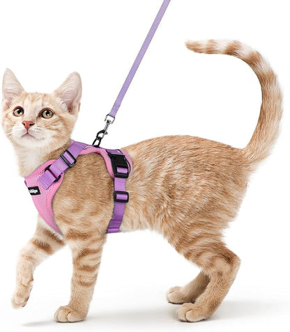 rabbitgoo Cat Harness and Leash Set, Escape Proof Kitten Harness by rabbitgoo
