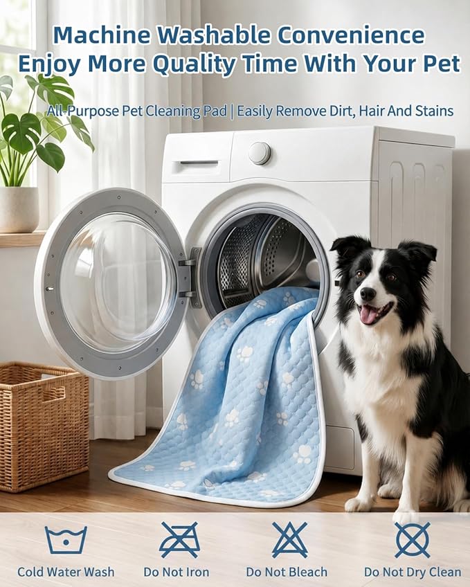 BWX Cooling Mat for Dogs - Image 7