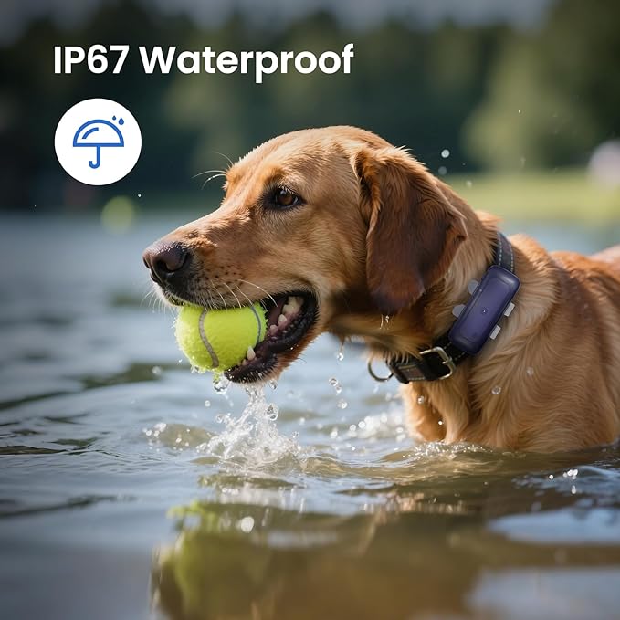 SEEWORLD 4G Pet GPS Tracker for Dogs Cats, Real-Time Location, IP67 Waterproof - Image 6