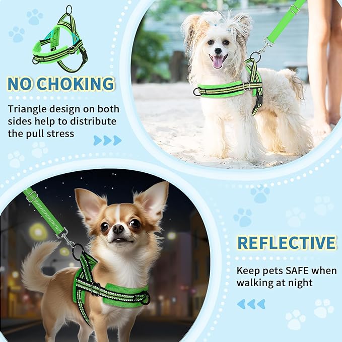 Lukovee No Pull Dog Harness and Leash Set, Soft Padded Small Dog Harness - Image 6