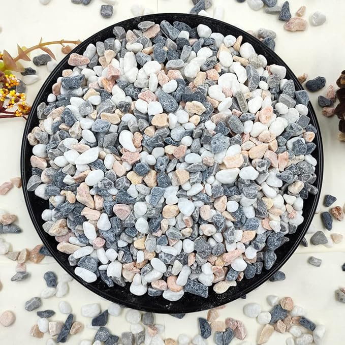 YISZM 5LBS Succulent and Cactus Gravel Pebbles, 1/5 Inch Natural Decorative by YISZM-ForYourNaturalLife