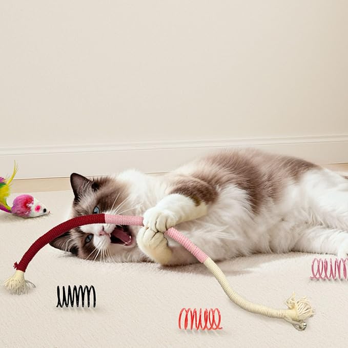 36 Pcs Interactive Cat Toys Set - Image 5
