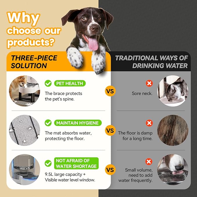 CZPET Elevated Dog Water Bowl Dispenser - Image 2