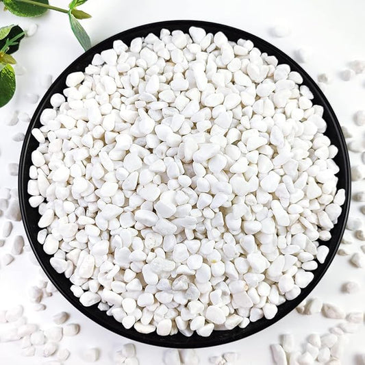 YISZM 10LB Succulent and Cactus Gravel, 1/5 Inch White Natural Decorative by YISZM-ForYourNaturalLife