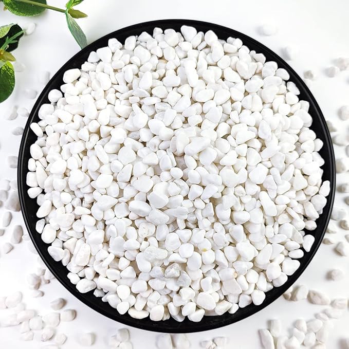 YISZM 5LB Succulent and Cactus Gravel Pebbles, 1/5 Inch White Natural by YISZM-ForYourNaturalLife