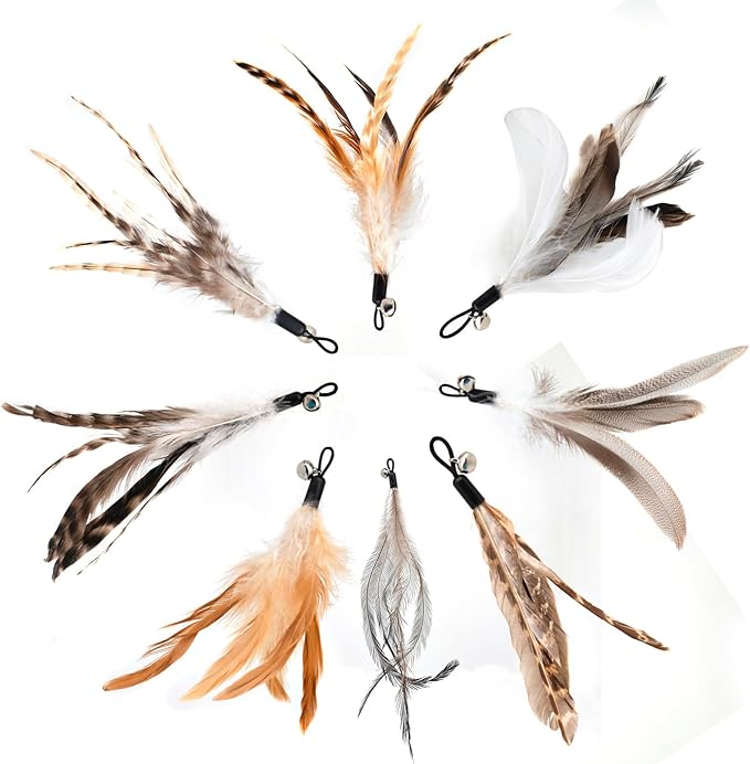 miwoowim Natural unstained Feathers, Cat Feathers Refill - Image 4