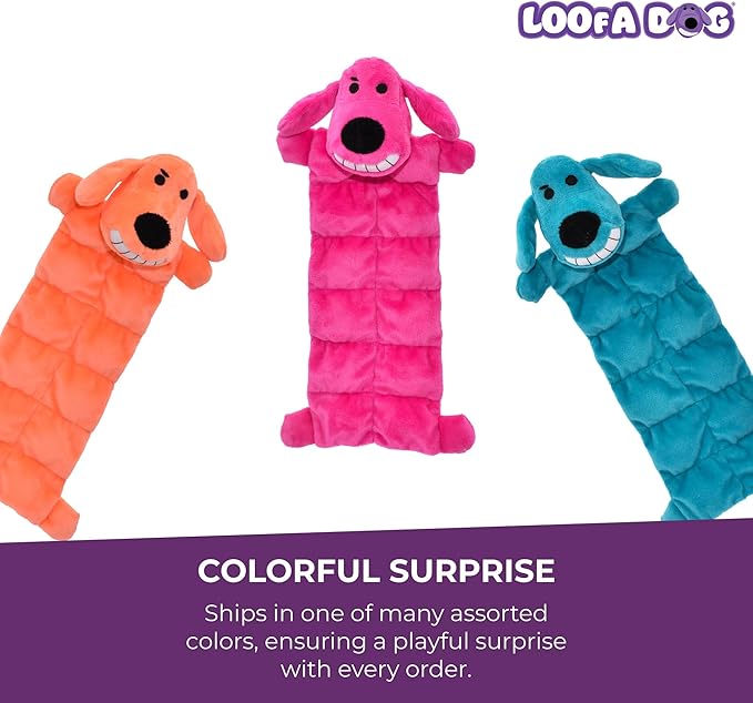 Multipet Original Loofa Dog Plush Toy Mat - Image 4