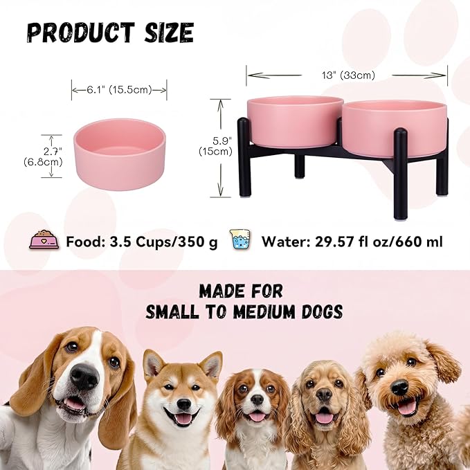 Raised Ceramic Dog Bowl Set - Image 2