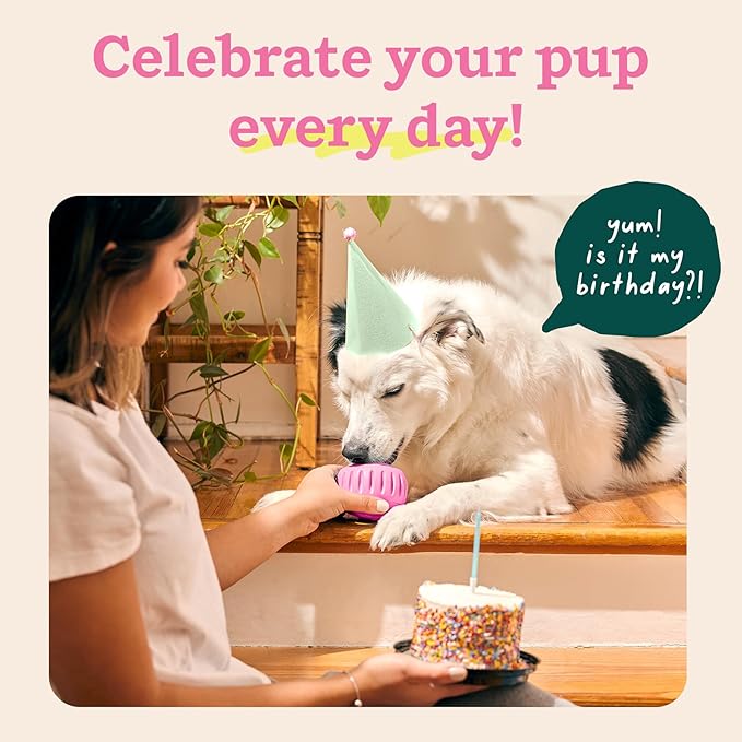 WOOF Party Pupsicle - Image 3