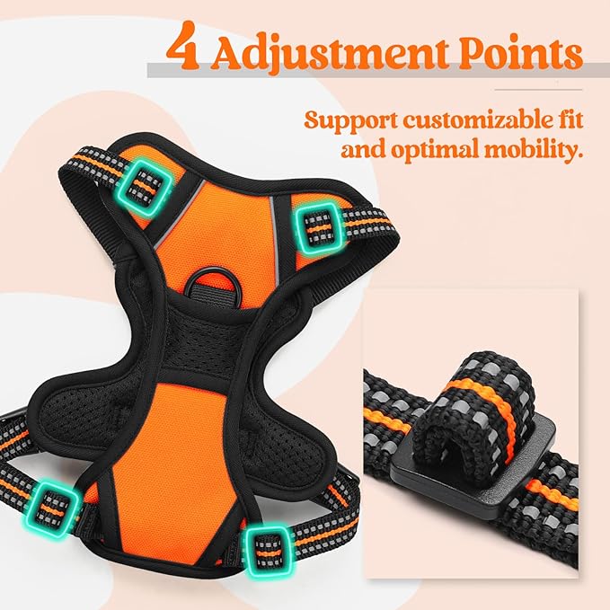 rabbitgoo Dog Harness No Pull - Image 4