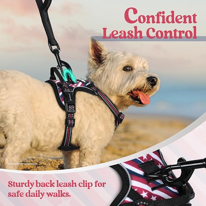 rabbitgoo Dog Harness No Pull - Image 6