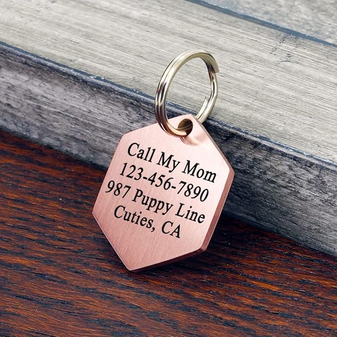Ultra Joys Stainless Steel Pet ID Customized Personalized, Front and Back - Image 2