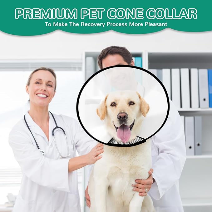 GLADOG Soft Dog Cone Collar – 3 Similar Sizes per Set - Image 6