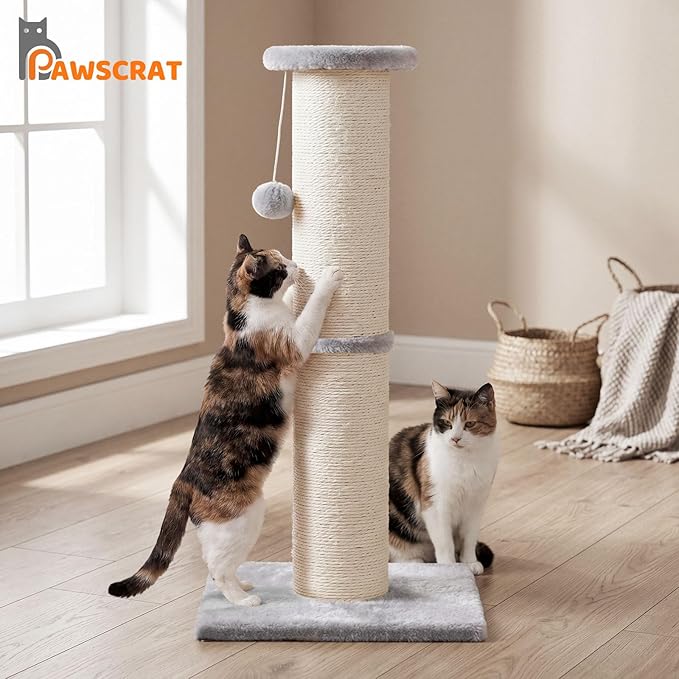 PAWSCRAT Cat Scratching Post 32" Tall, 5-Inch Diameter Natural Sisal Cat - Image 6