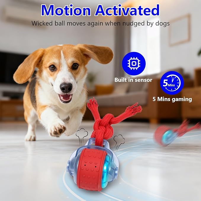 Oxawo Interactive Dog Toys Pet Busy Balls Wiggles Ball - Image 3
